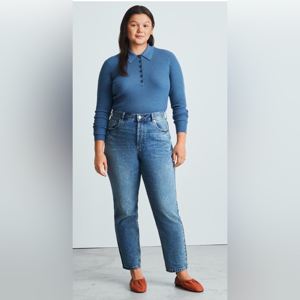 NWOT Everlane The '90s Cheeky Hourglass Jean